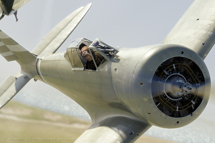 The Ramming King close-up detail