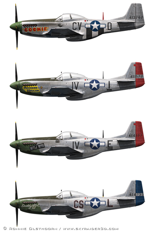 359th Fighter Group P-51D/K profiles