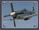 P-51D in Mental Ray