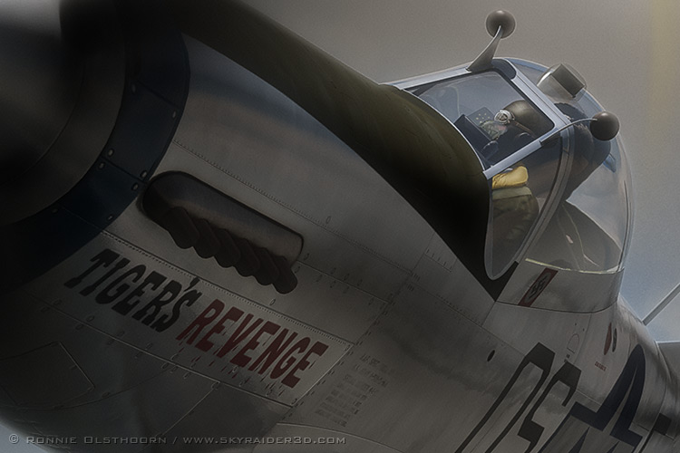 Close-up of the Tiger's Revenge artwork