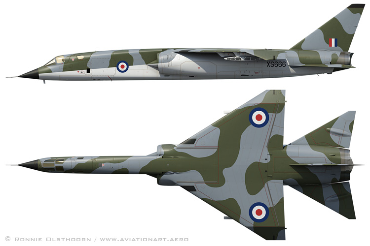 TSR2 'XS666' profile views